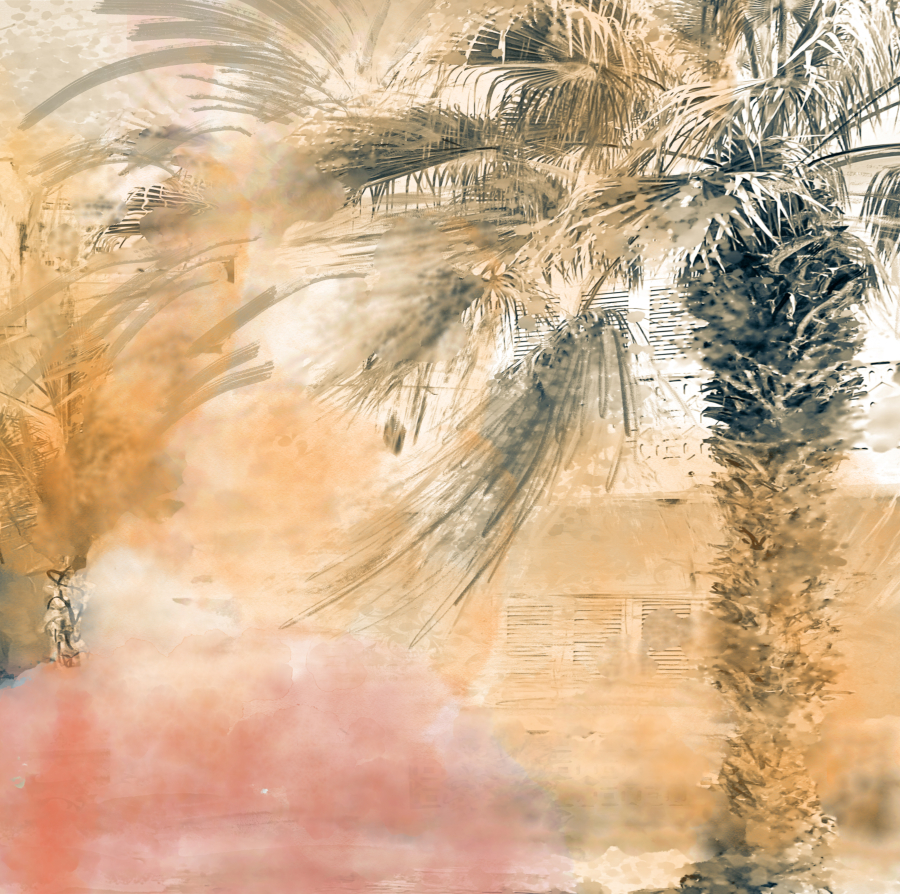 Sophia Rein Bild Palmen